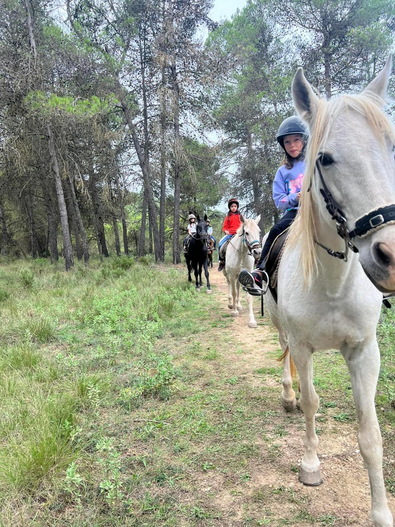 Hostel Riera Dagres Relax Rural Grupos Zewnętrze zdjęcie